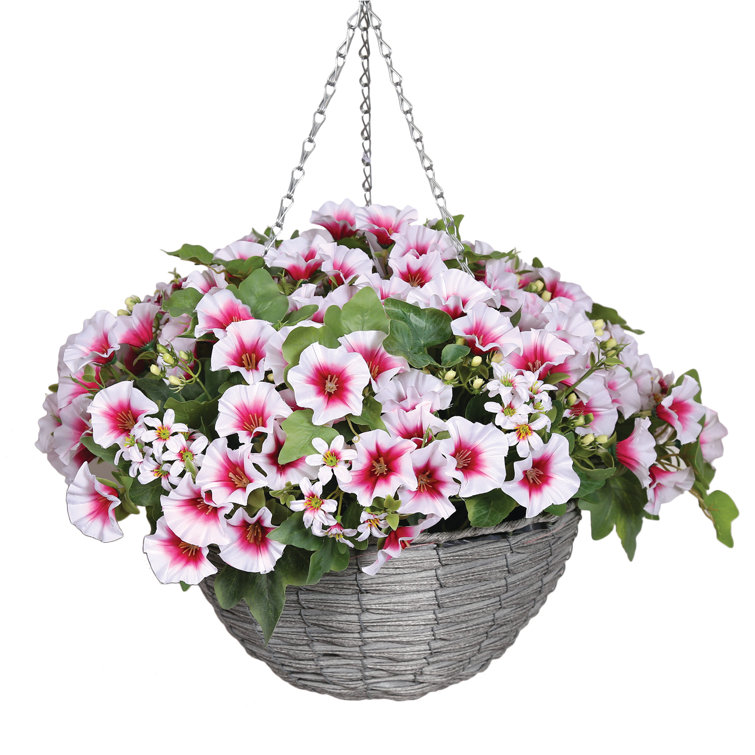 The Seasonal Aisle Petunia Hanging Basket Wayfair.co.uk
